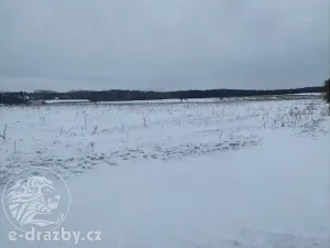 Dražba pole, Toušice, 7911 m2