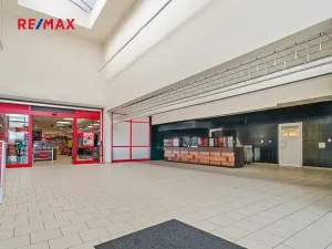 Pronájem obchodního prostoru, Plzeň, 181 m2