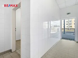 Pronájem obchodního prostoru, Plzeň, 181 m2