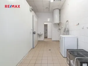 Pronájem obchodního prostoru, Plzeň, 181 m2