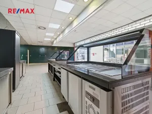 Pronájem obchodního prostoru, Plzeň, 181 m2