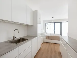 Pronájem bytu 1+kk, Brno, Lidická, 41 m2