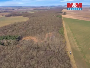 Prodej lesa, Slatiny, 6169 m2