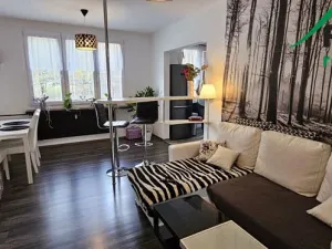 Pronájem bytu 2+1, Tachov, Stadtrodská, 59 m2