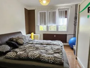 Pronájem bytu 2+1, Tachov, Stadtrodská, 59 m2