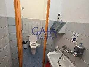 Prodej obchodního prostoru, Dačice, B. Němcové, 600 m2