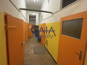 Prodej obchodního prostoru, Dačice, B. Němcové, 600 m2