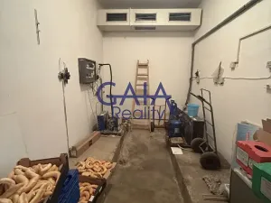 Prodej obchodního prostoru, Dačice, B. Němcové, 600 m2