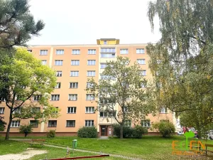 Pronájem bytu 3+1, Plzeň, Družby, 77 m2