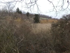 Prodej pozemku, Brandýs nad Labem-Stará Boleslav - Popovice, 1366 m2