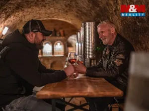 Prodej vinného sklepa, Chvalovice, 62 m2