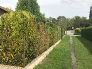 Prodej chaty, Nymburk, 25 m2