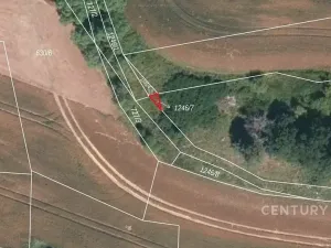 Prodej pole, Střelské Hoštice, 32521 m2