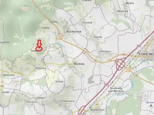 Prodej lesa, Stříbrnice, 2595 m2