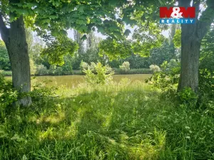 Prodej louky, Hradec Králové - Pražské Předměstí, 7544 m2