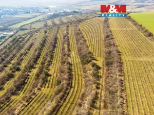 Prodej pole, Morkůvky, 2424 m2