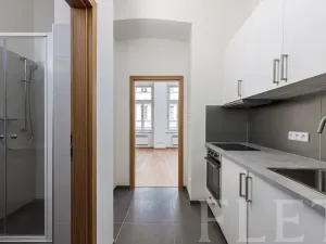 Pronájem bytu 1+kk, Praha - Žižkov, Seifertova, 29 m2