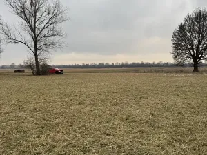 Prodej lesa, Veselí nad Moravou, 2272 m2