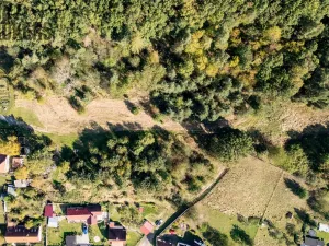 Prodej pozemku, Bezdědovice, 1262 m2