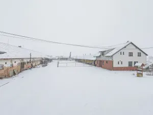 Prodej komerční, Rosice, 398 m2