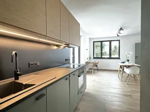 Pronájem rodinného domu, Hradec Králové, Přemyslova, 53 m2