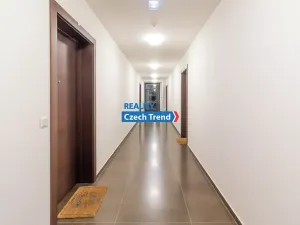 Pronájem bytu 2+kk, Olomouc, Třída Jiřího Pelikána, 59 m2