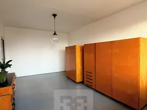 Pronájem bytu 2+1, Plzeň, Elišky Krásnohorské, 72 m2