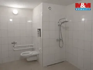 Pronájem bytu 3+1, České Budějovice - České Budějovice 2, Větrná, 68 m2