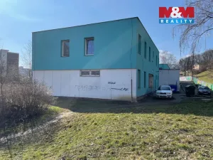 Prodej činžovního domu, Litvínov - Janov, Přátelství, 1000 m2