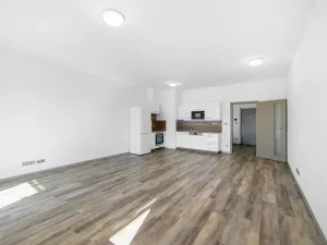 Pronájem bytu 2+kk, Plzeň - Severní Předměstí, Bolevecká, 58 m2