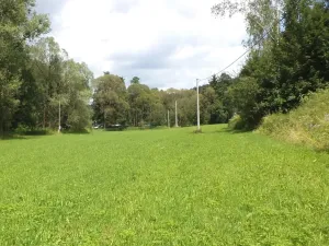 Dražba louky, Chotěvice, 3601 m2