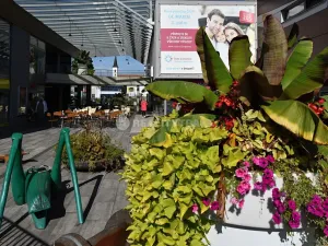 Pronájem obchodního prostoru, Strakonice, Bezděkovská, 111 m2