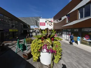 Pronájem obchodního prostoru, Strakonice, Bezděkovská, 58 m2