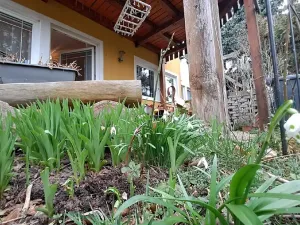 Prodej rodinného domu, Tišice, Hasičská, 150 m2