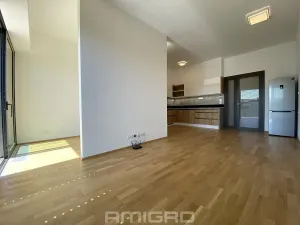 Pronájem bytu 1+kk, Brno, Šumavská, 43 m2
