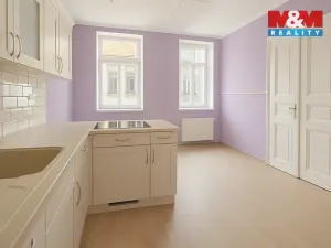 Prodej výrobních prostor, Písek - Budějovické Předměstí, Tyršova, 315 m2