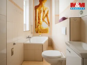 Prodej výrobních prostor, Písek - Budějovické Předměstí, Tyršova, 315 m2