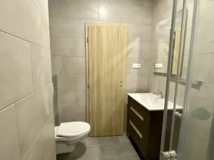 Pronájem bytu 1+kk, Louny, Pražská, 45 m2