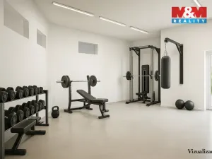 Prodej rodinného domu, Písek - Budějovické Předměstí, Tyršova, 315 m2