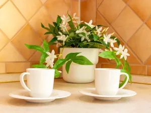 Prodej bytu 2+1, Karviná - Ráj, Školská, 53 m2