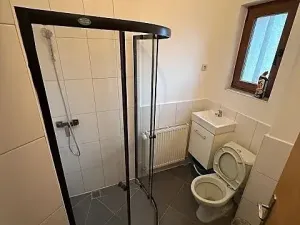 Pronájem vícegeneračního domu, Mladá Boleslav, Jiráskova, 490 m2