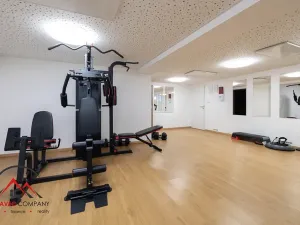 Pronájem apartmánu, Ostrava, Cihelní, 54 m2