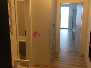 Pronájem bytu 1+kk, Olomouc, Rokycanova, 35 m2