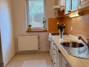 Pronájem bytu 2+1, Vrchlabí, Letná, 59 m2