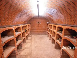 Prodej rodinného domu, Moravany, V Jámách, 382 m2