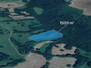 Prodej podílu pole, Javorník, 2814 m2