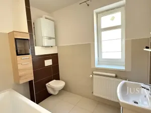 Pronájem bytu 3+1, Ústí nad Labem, Na Vinici, 65 m2