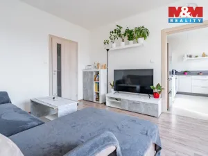 Prodej bytu 3+1, Písek - Pražské Předměstí, Na Pěníku, 67 m2