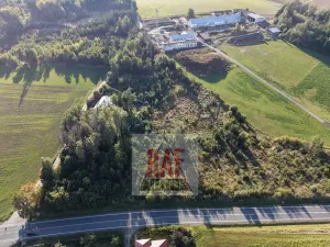 Prodej lesa, Sazomín, 11295 m2