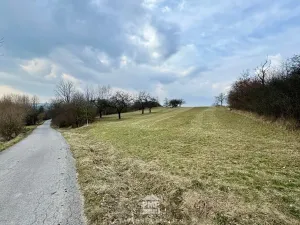 Prodej louky, Cetkovice, 5478 m2